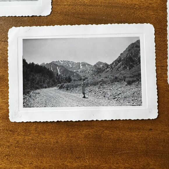 Willow Canyon Stansbury Mountains Original 1944 Photographs Tooele Miner’s Shack - Picture 9 of 12